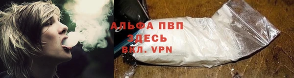 прущие крисы Арсеньев