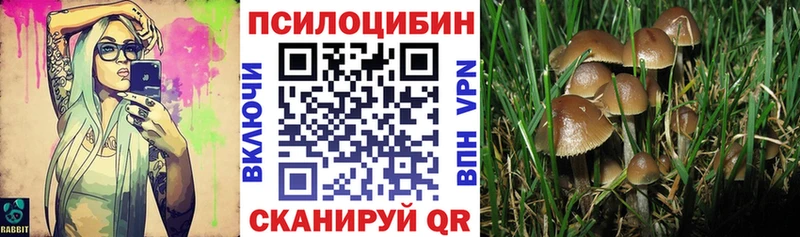 купить закладку  Козьмодемьянск  Галлюциногенные грибы Magic Shrooms 
